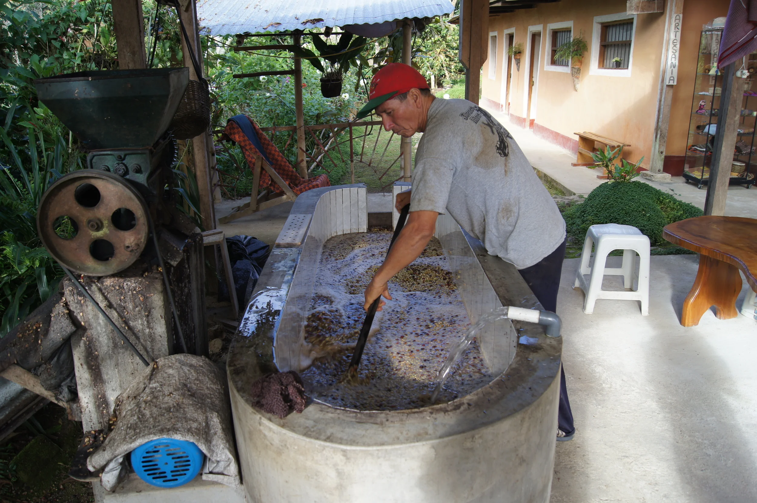 Lavage du café sur la parcelle Los Pinos. Juan Francisco Rivera, producteur de café de la région de San Ignacio, a mis au point des processus artisanaux de fermentation, lavage, sélection et séchage du café qui lui permettent de produire un café de grande qualité.
