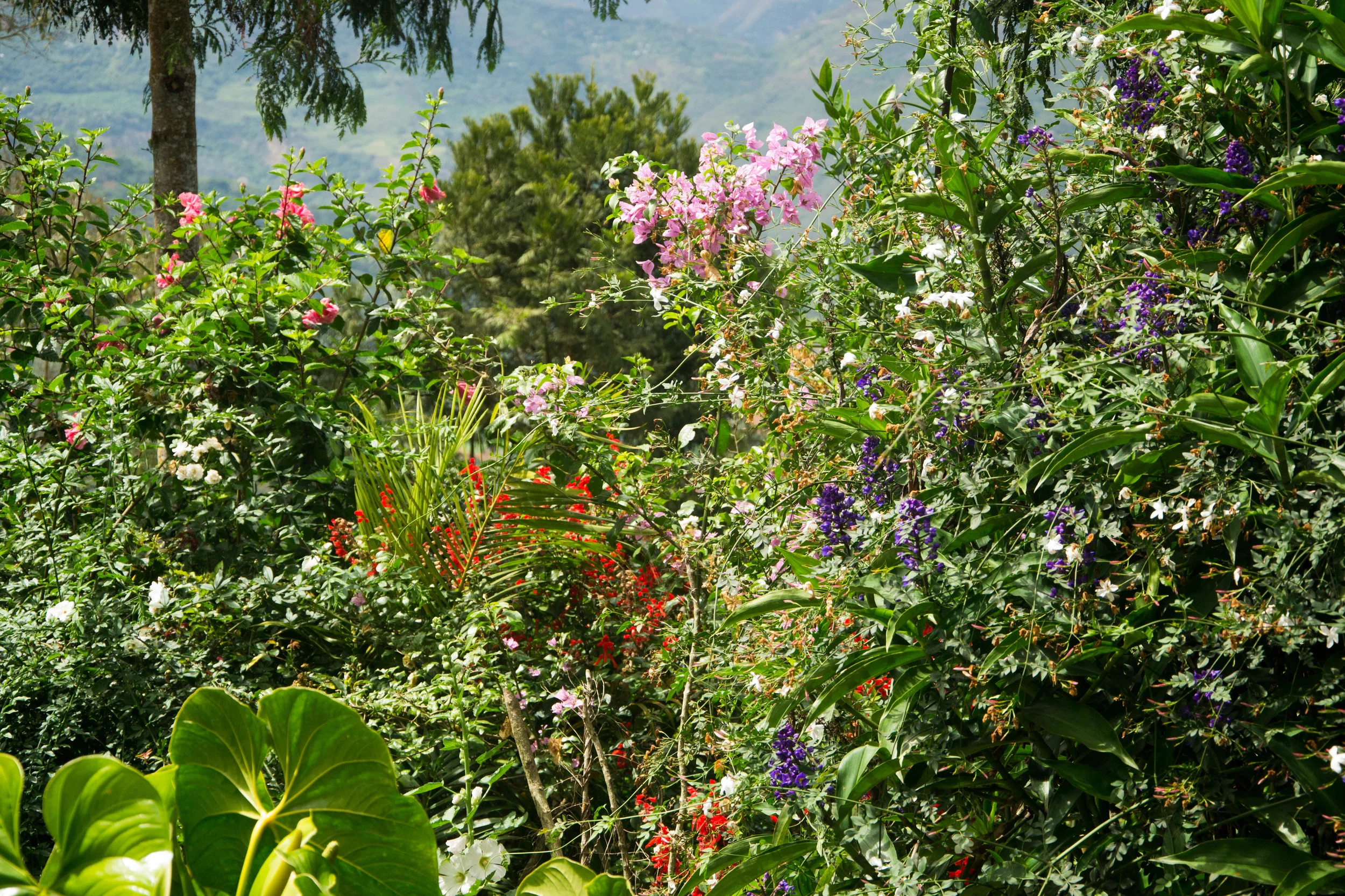 DSCCC-0521.jpg
