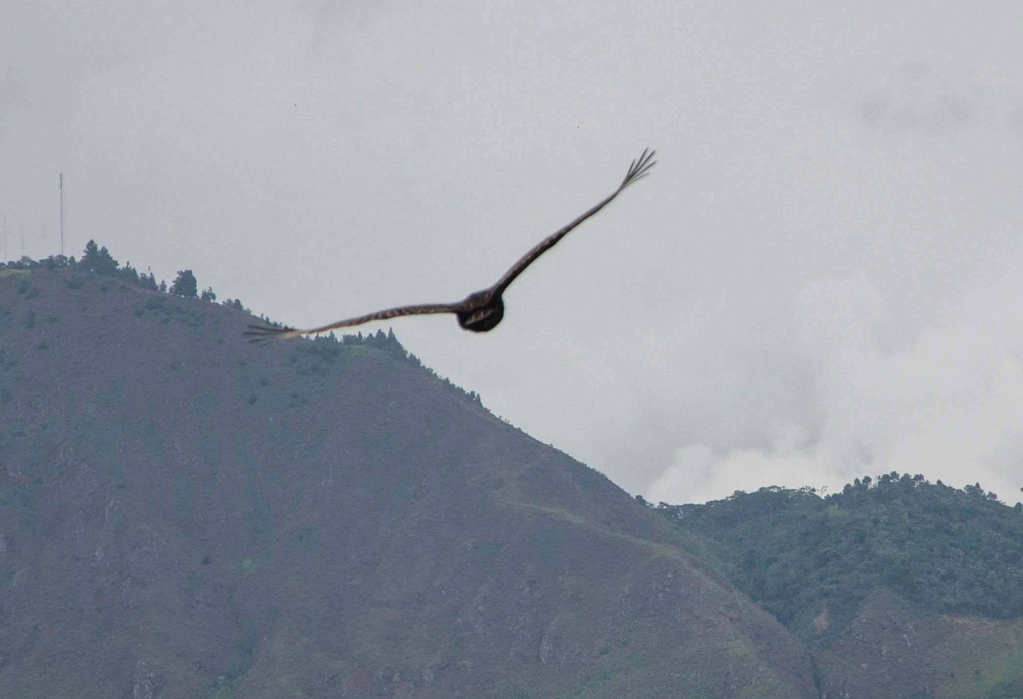DSCCC-0602.jpg