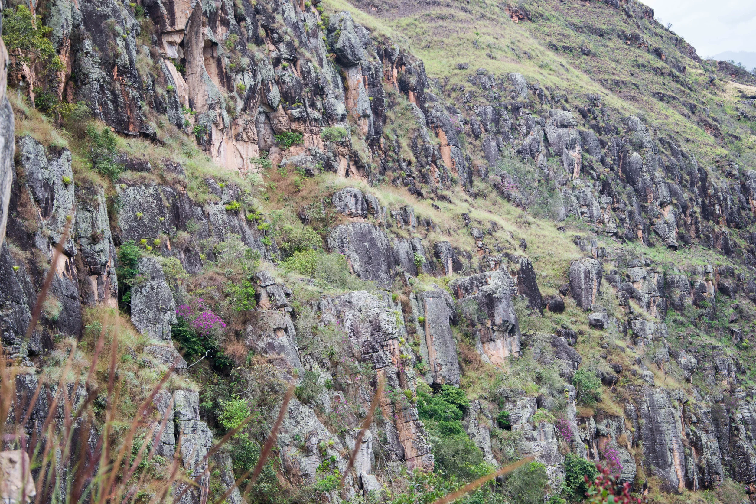 DSCCC-0613.jpg