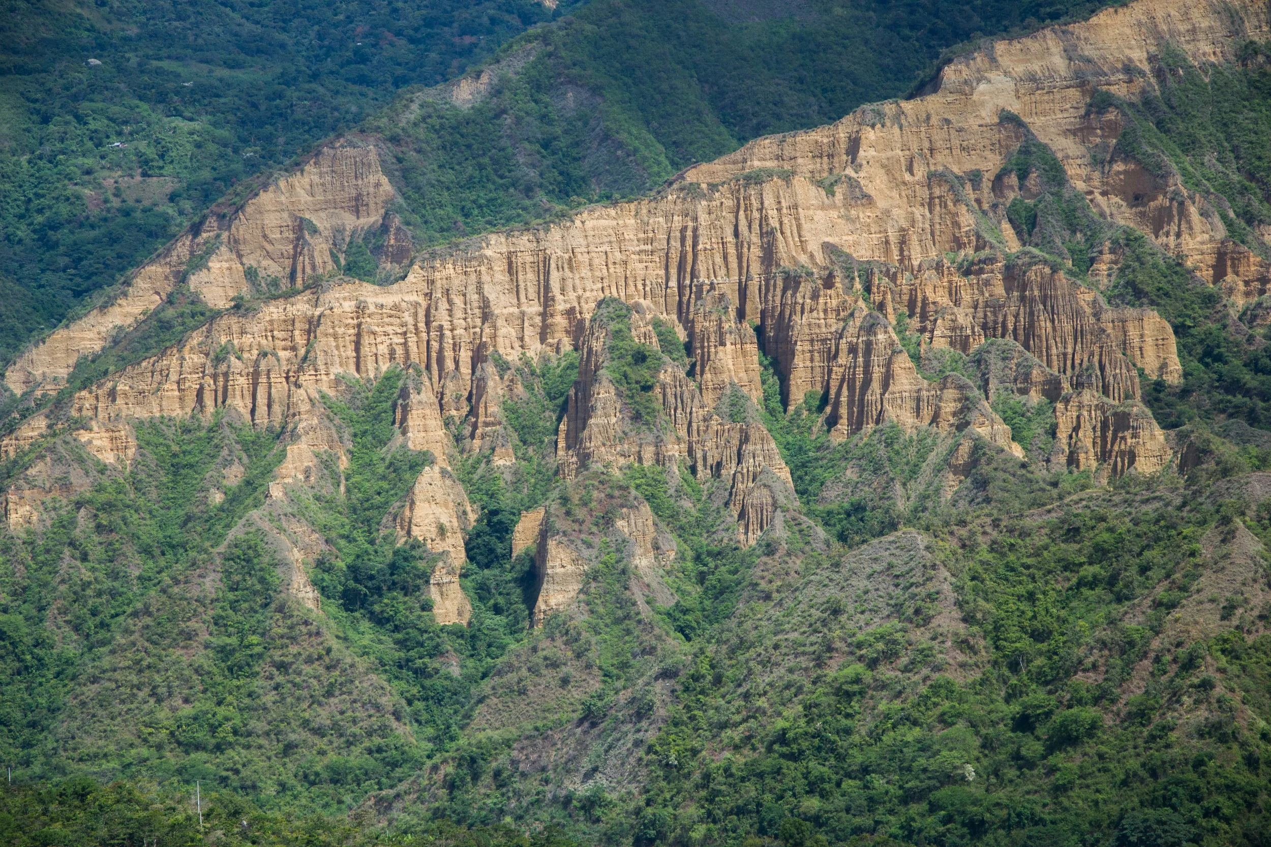 DSCCC-0711.jpg