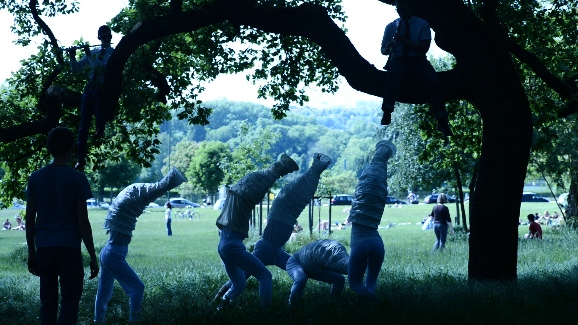 Trunks in the Park.png
