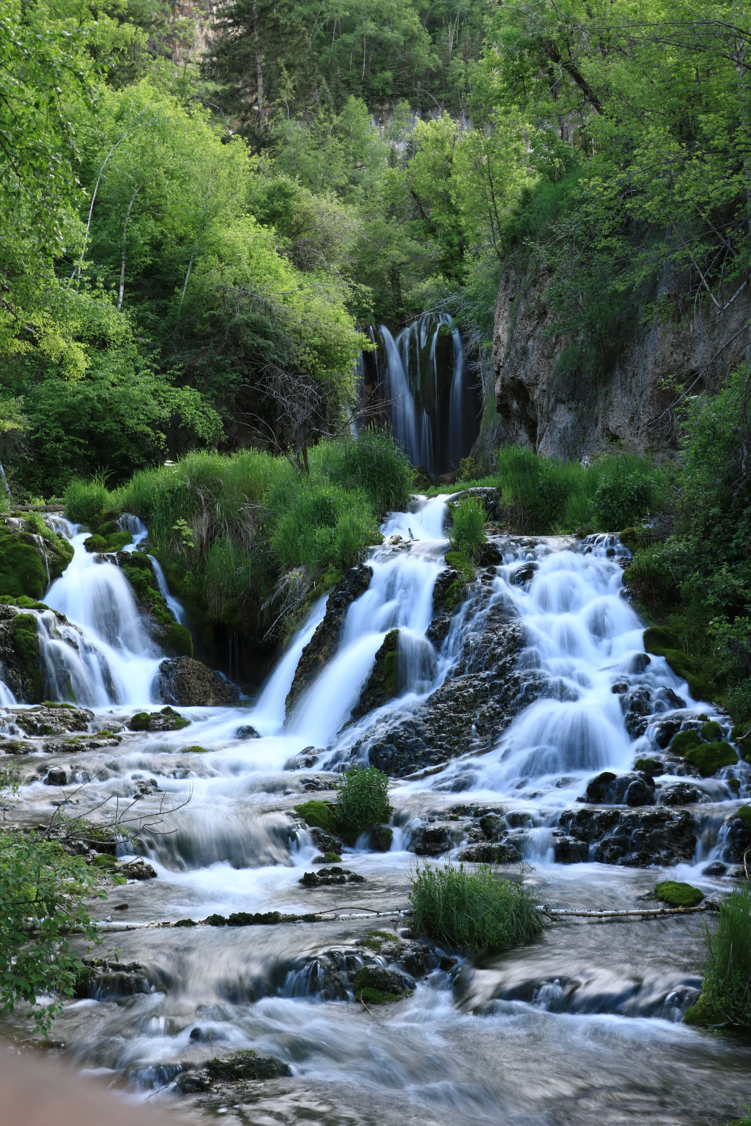 IMG_2352.JPG