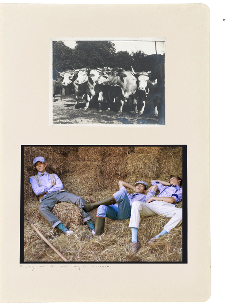 Reed_Henry_Cottons_boys_haystack_odlschool.jpg