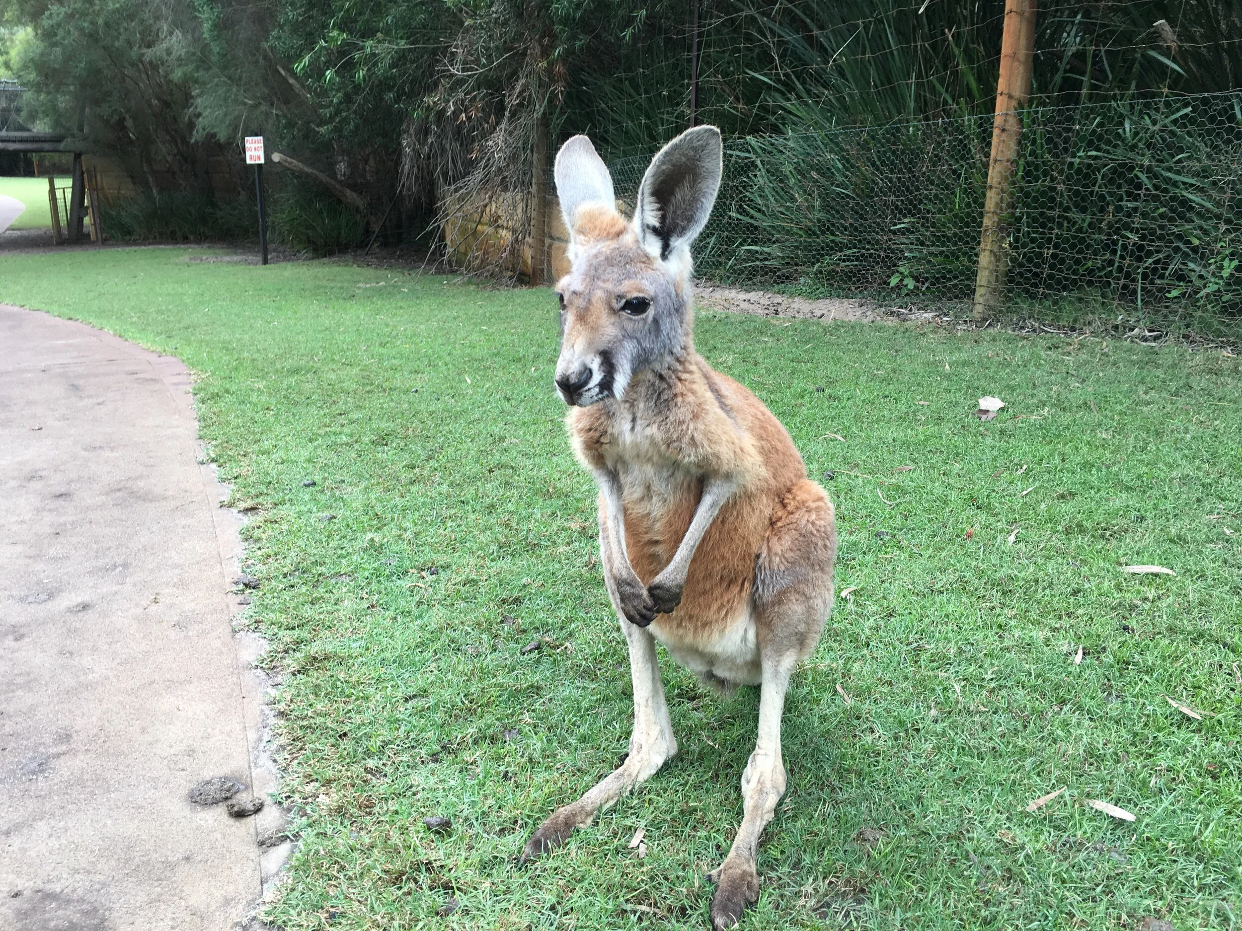 G'Day from Australia