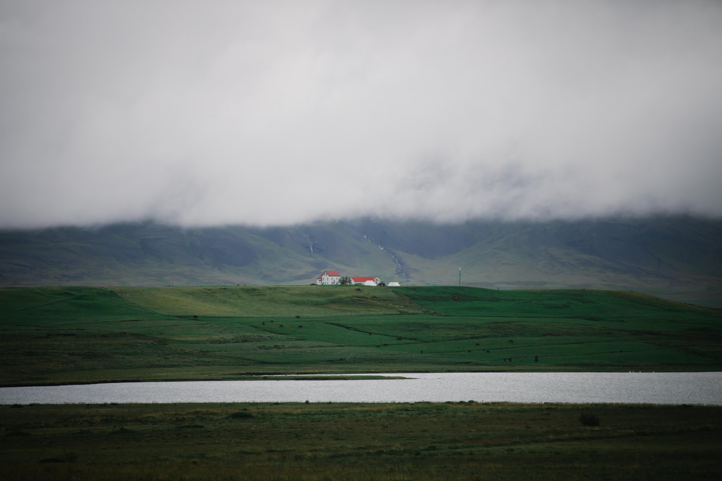 045A9813.jpg
