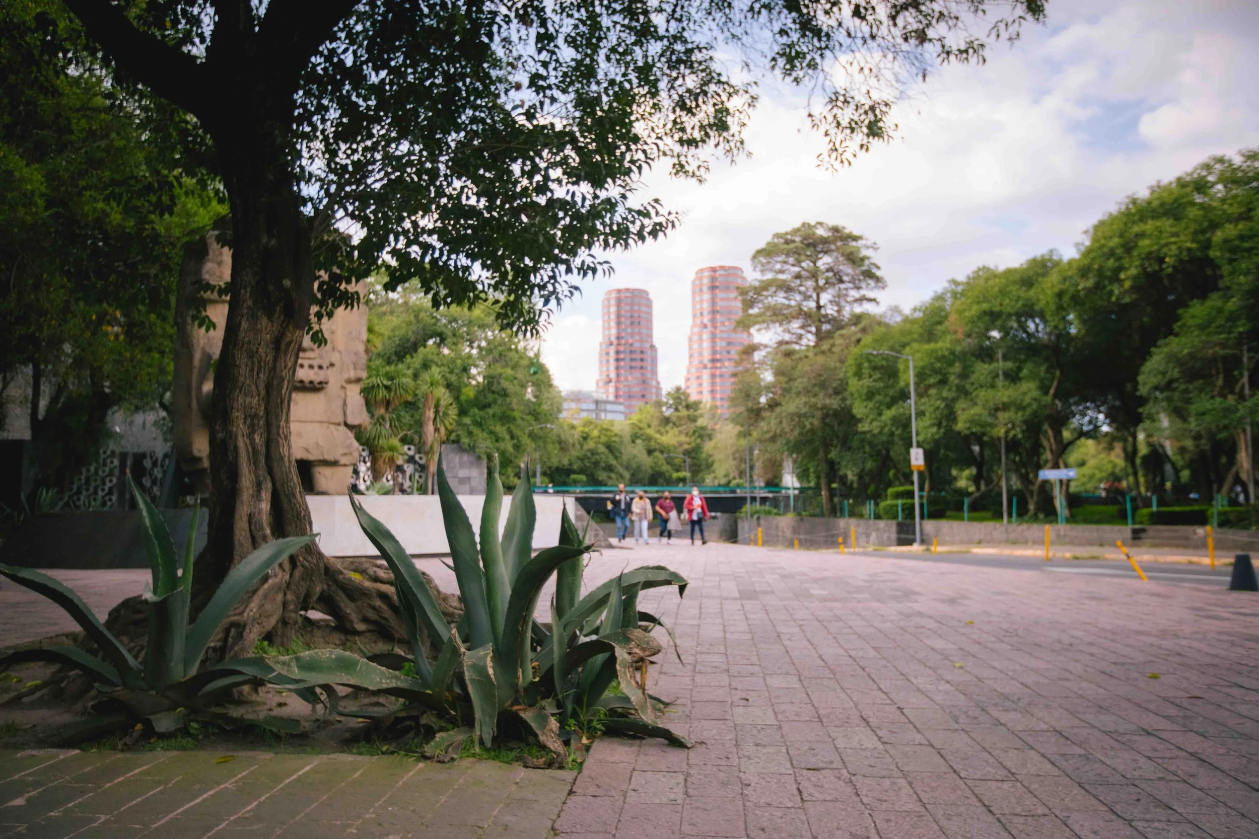 045A5653.jpg
