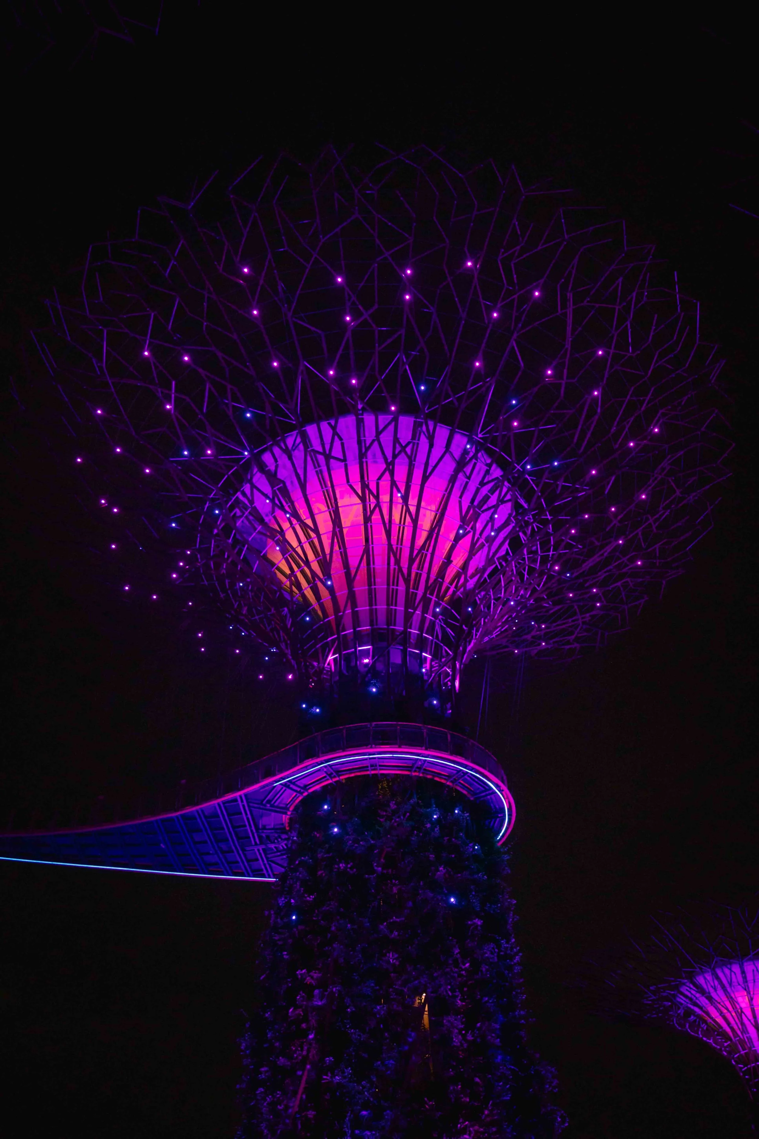 045A6200.jpg