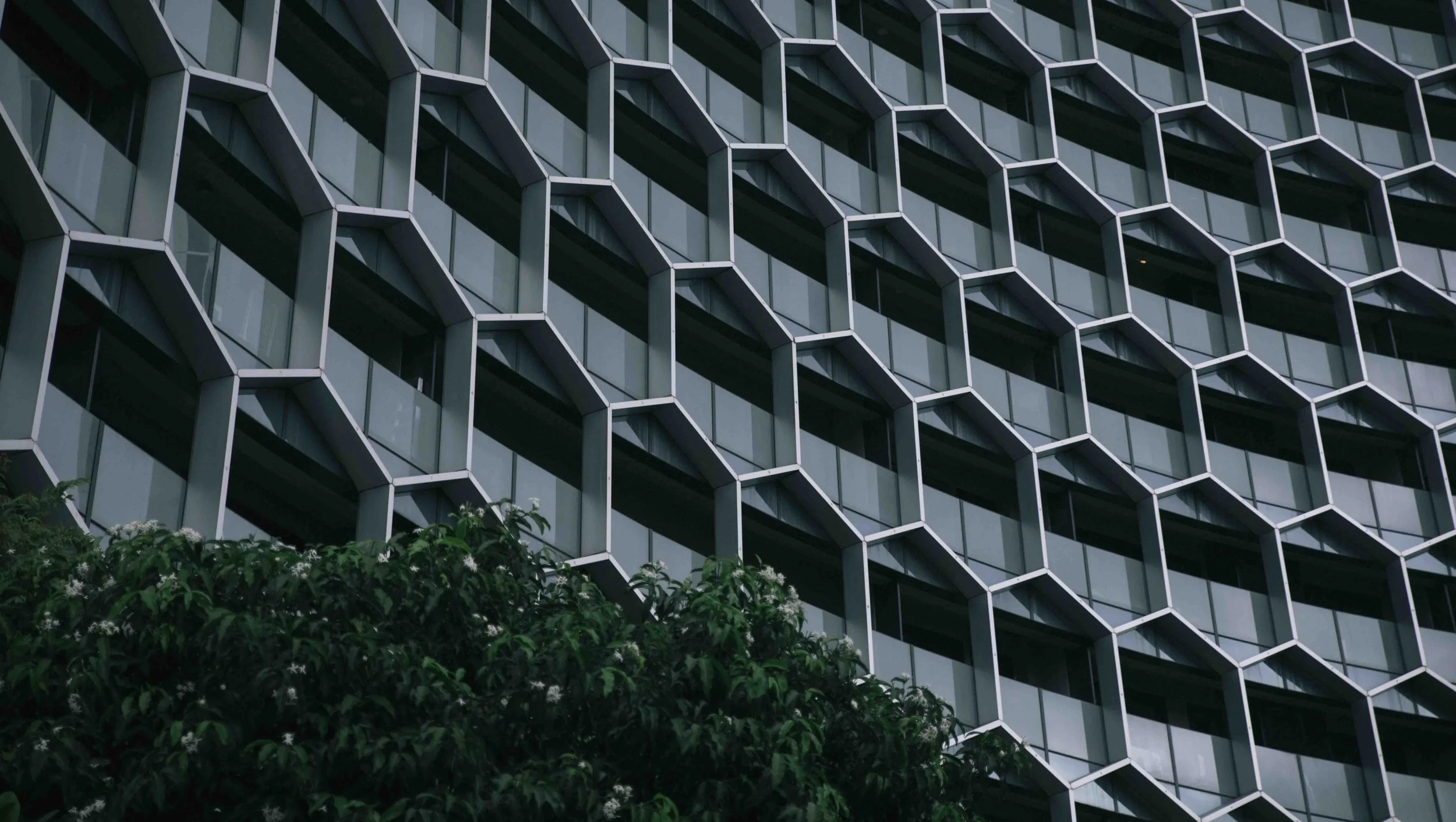 045A6272.jpg