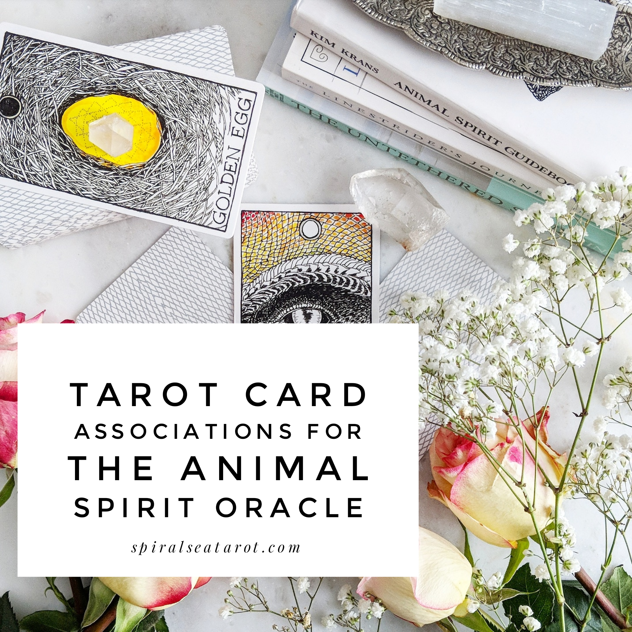 Working With The Wild Unknown - Animal Spirit Oracle — Spiral Sea Tarot
