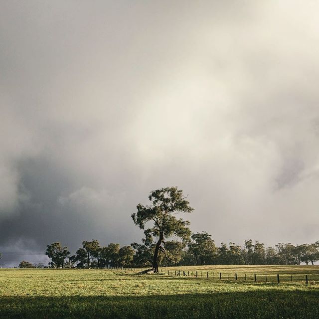 The changing seasons of Longwood, Adelaide Hills &amp; a welcome break in the clouds. #adelaidephotographer #contentcreation 📷@heyandy.studio