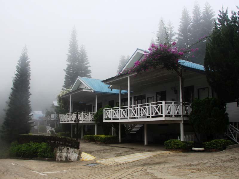 Afternoon mist
