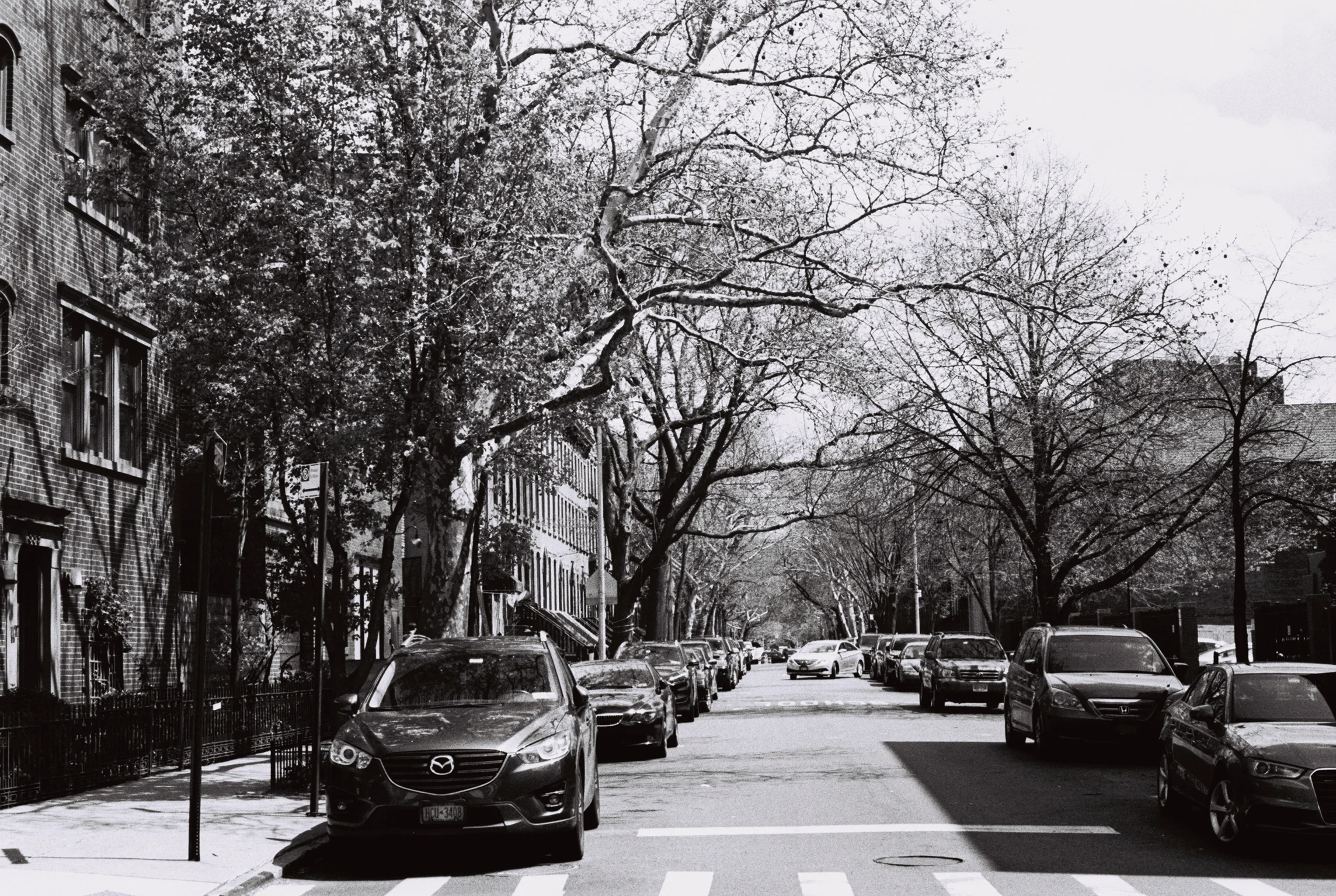 S033460-R1-E001.jpg