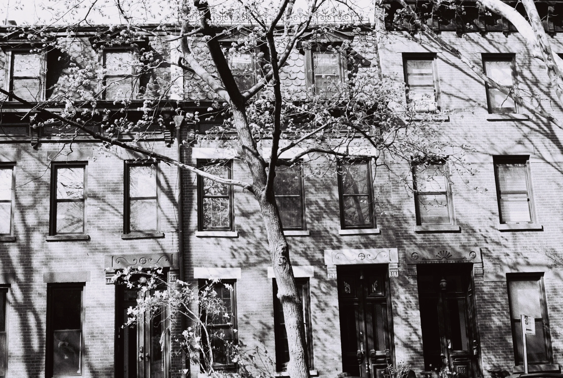 Bergen between Smith and Hoyt