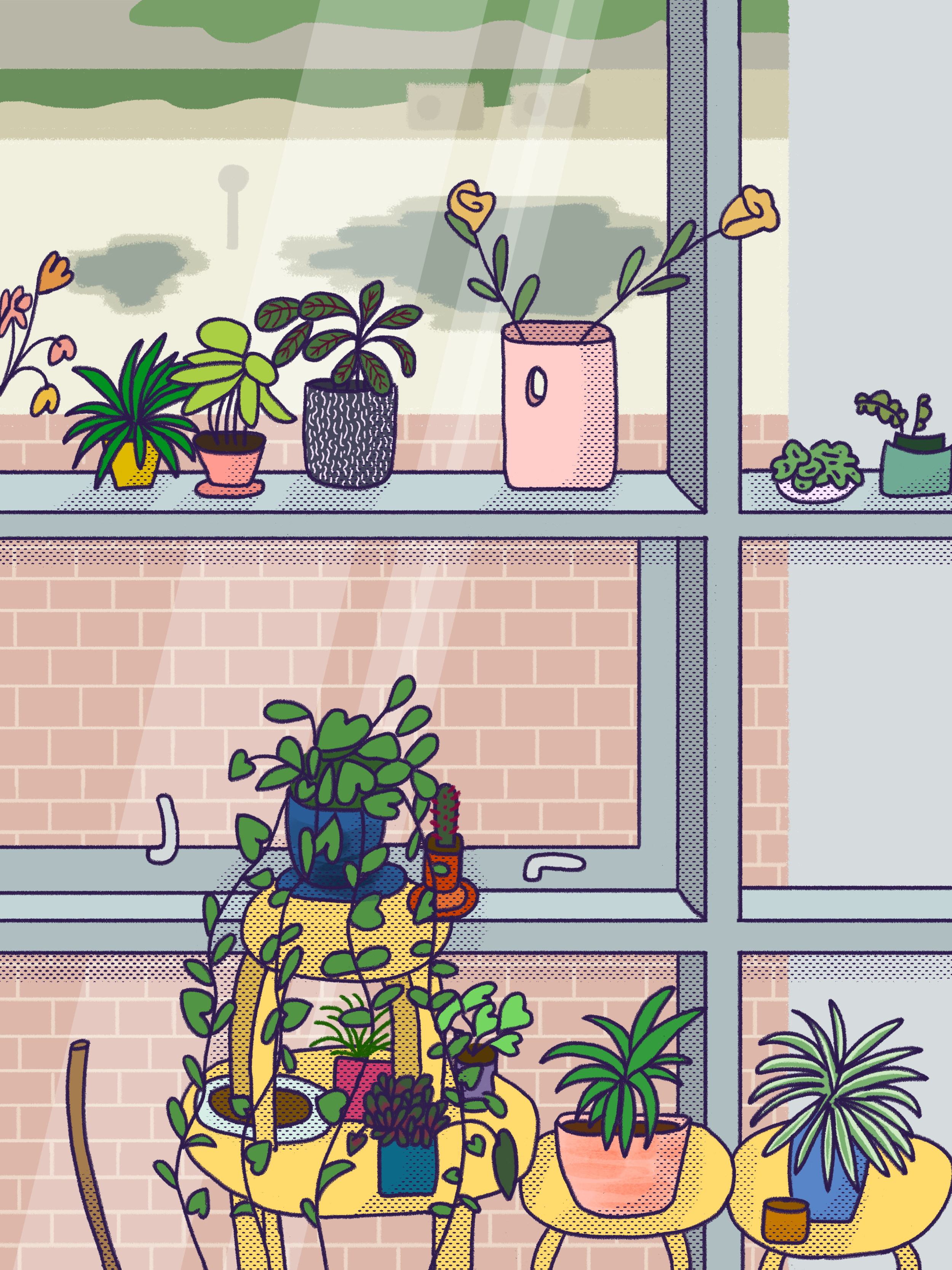 6-5-20_plants3.png