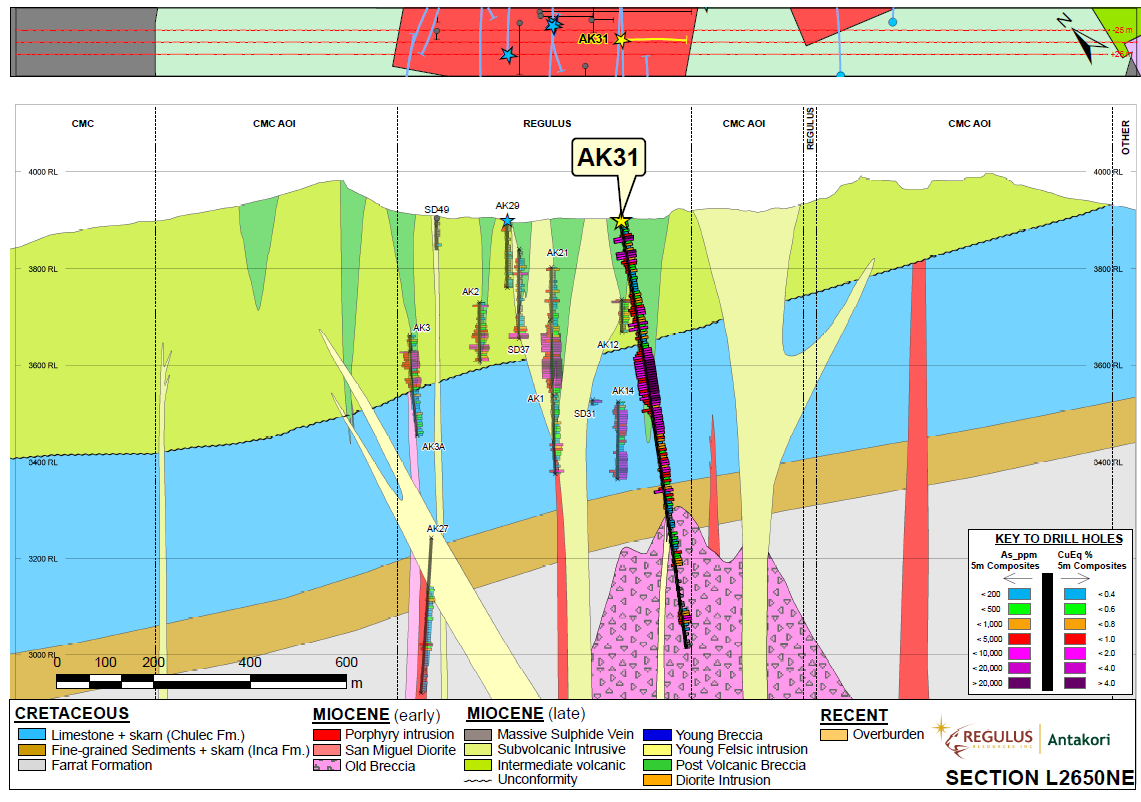 Figure 2: Schematic geologic cross section L2650NE indicating projected location and results of AK-19-031