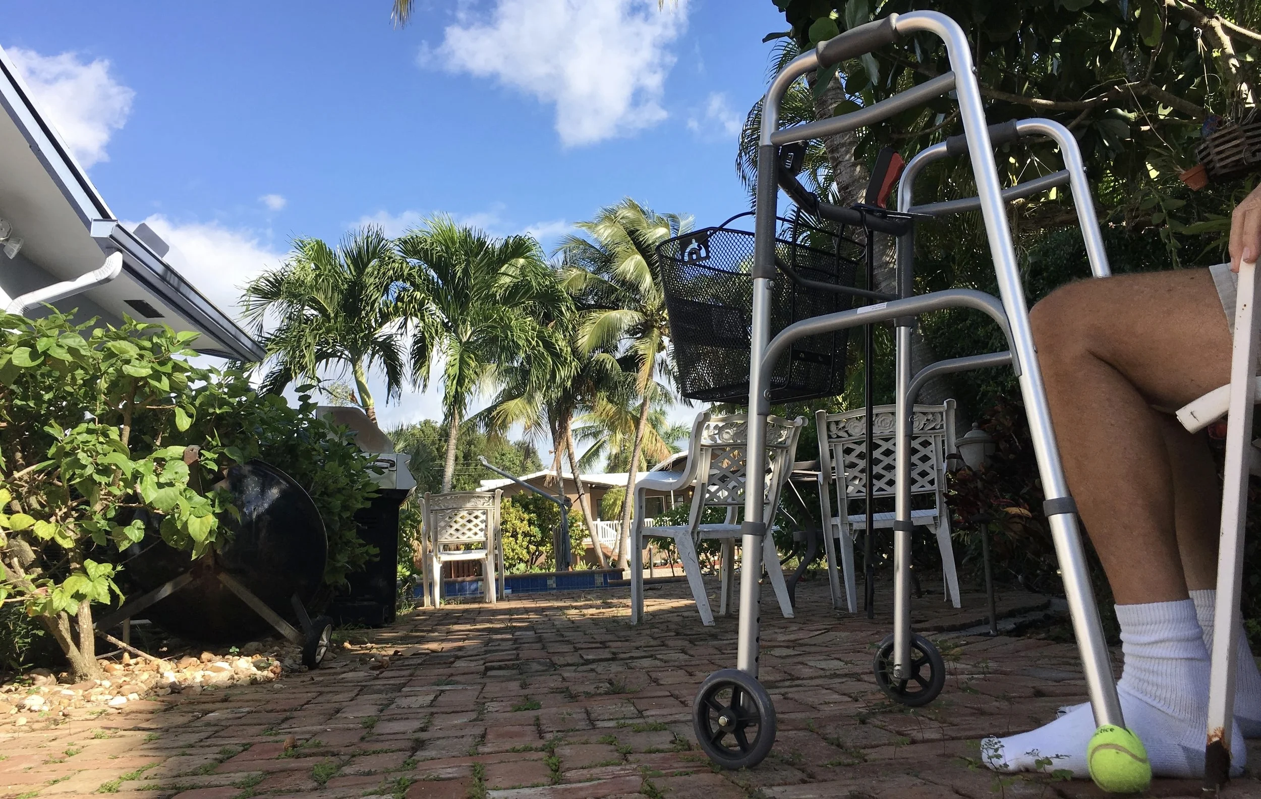 Humpty Dumpty:  Renovation Takes a Backseat