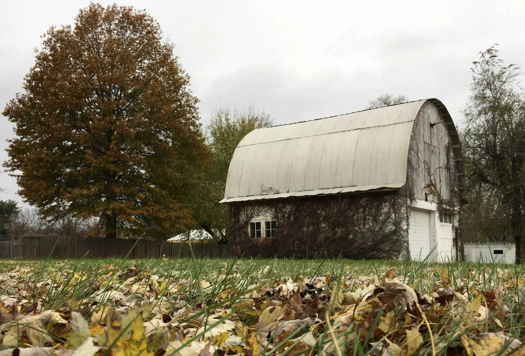 How is it December???:  Renovation Week One Thousand