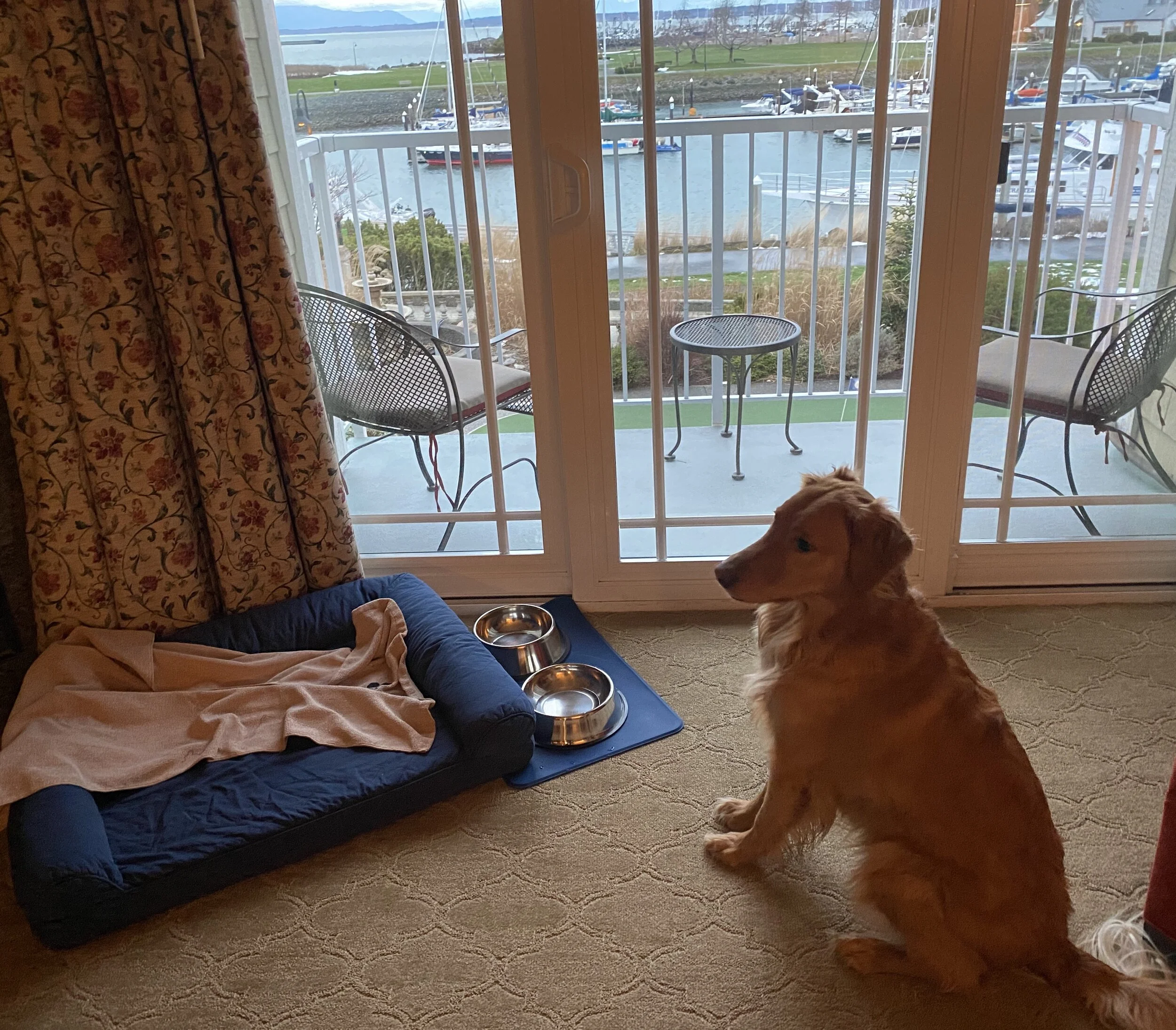 IMG_1230 (1).jpeg