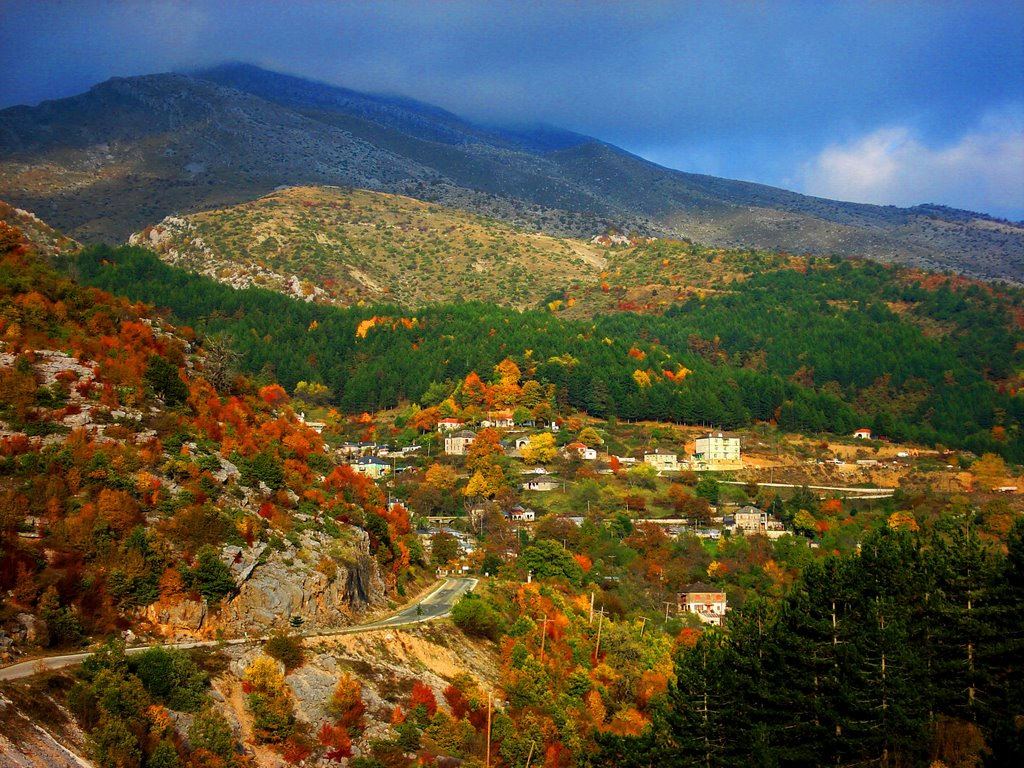 Tsepelovo Tsepelovo is the biggest of Zagorochoria villages. It is located 36 klm from Ioannina city. It is build on an altitude 1140 meters. Tsepelovo is a traditional village, known since the 16th century. In 1868 it was the capital of the Turkish authorities Zagoriou. The village is immersed in the mountain surrounded by forest.