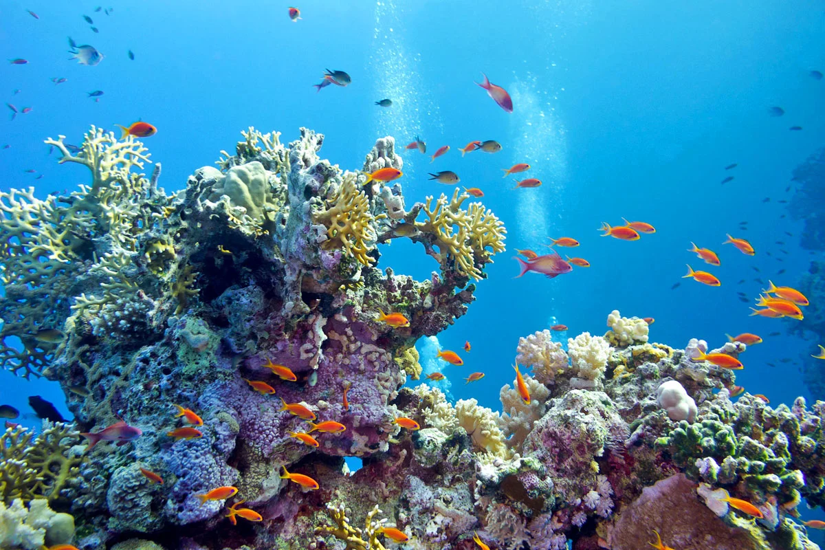 chania underwater.jpg