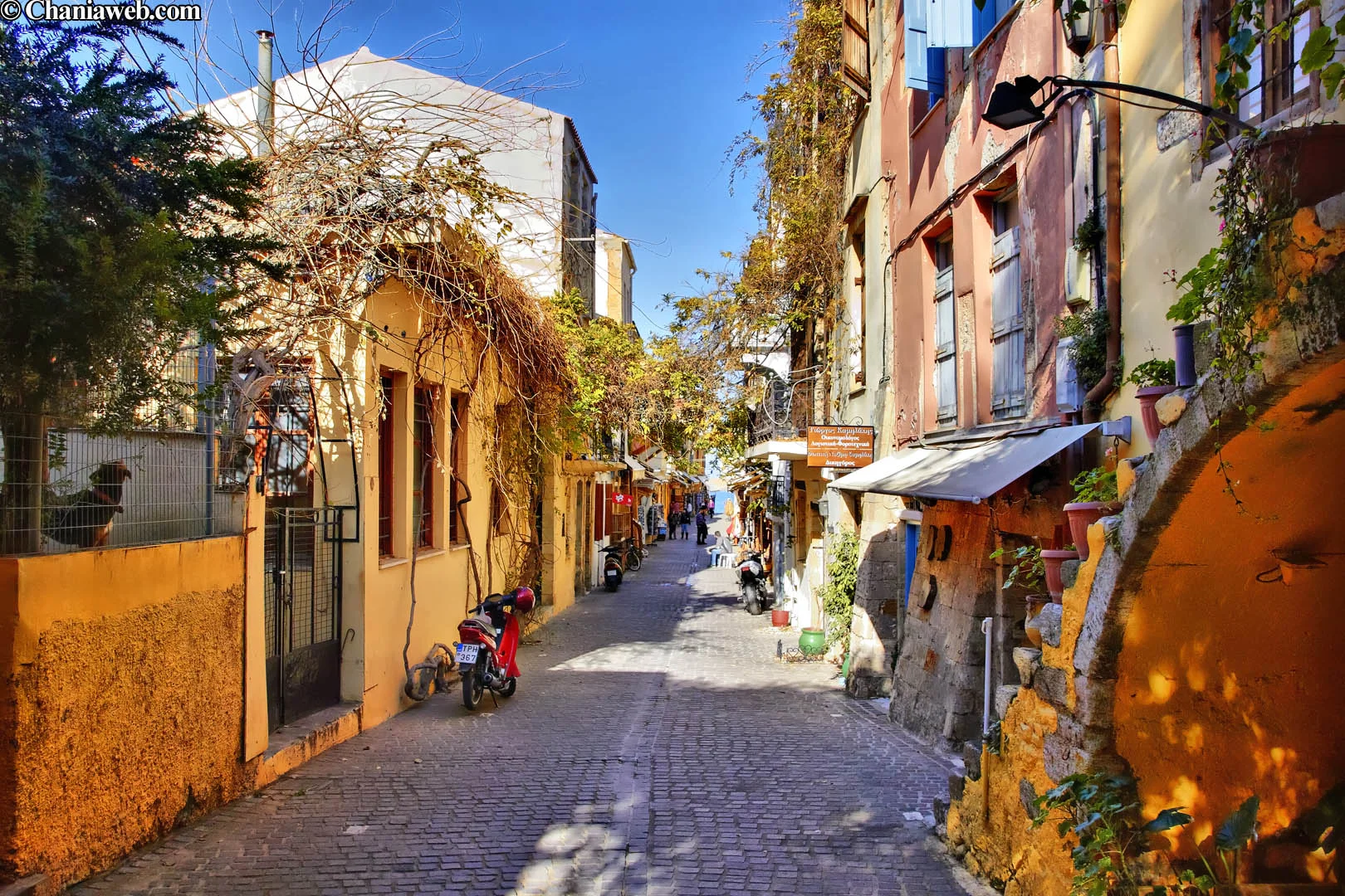 chania_4.jpg