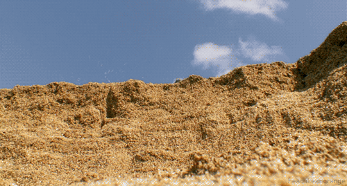 tumblr_n637hp9ukg1tp8sv3o3_500.gif