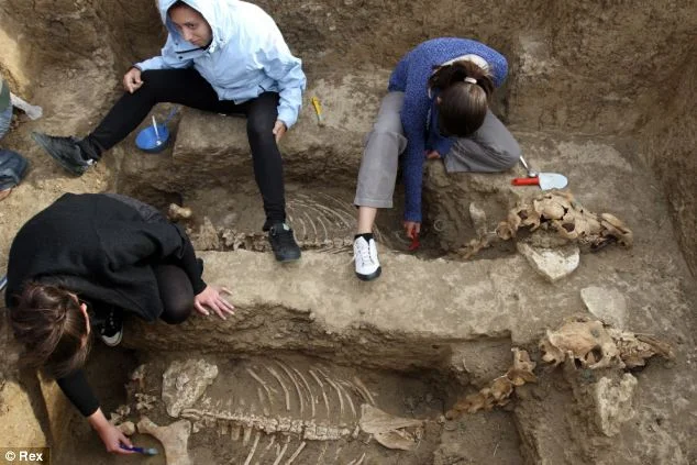 The two-wheeled carriage and carcasses of the horses (foreground) were found in a Thracian tomb along with some decorations.