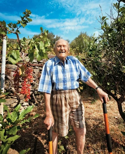 Stamatis Moraitis tending his vineyard and olive grove on Ikaria. Moraitis, who did not remember his exact age — either 98 or 102 — was featured in numerous international media stories touting his puristic way of life on his beloved island of Ikaria and the fact that almost four decades after a lung cancer diagnosis he even outlived his doctors who predicted his imminent death back in the 1970s.