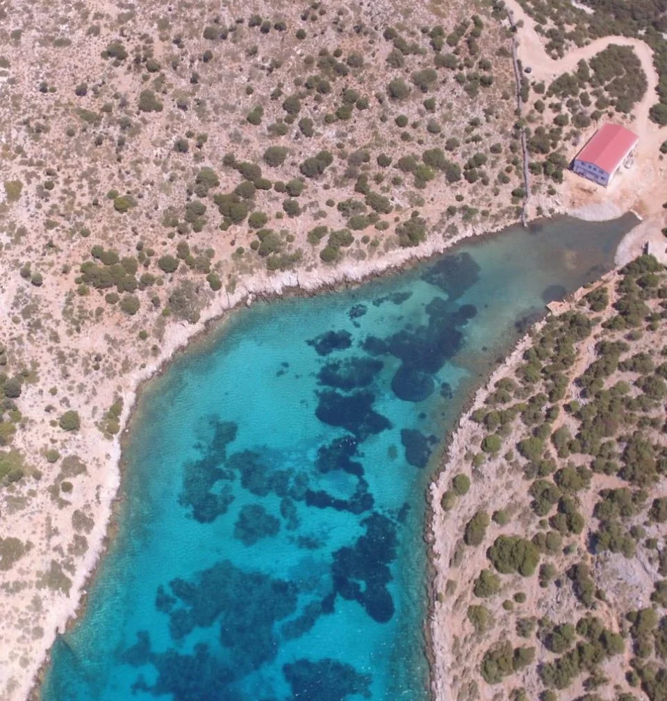 Aegean Marine Life Sanctuary, Greece. Image Source: Archipelagos Institute of Marine Conservation