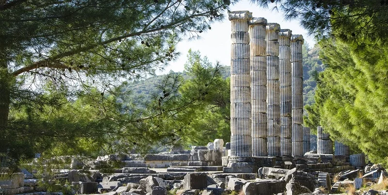 Priene-Front.jpg
