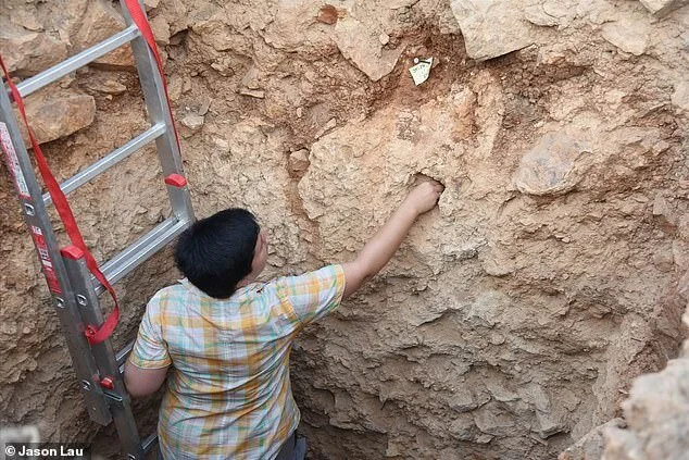 Early humans reached the Greek islands tens of thousands of years earlier than was previously thought, evidence from an archaeological dig on Naxos, pictured, suggests