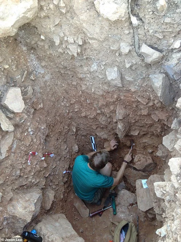 The findings overturn existing theories on early hominin migrations — with the Greek islands originally thought to have been uninhabited until around 9,000 years ago