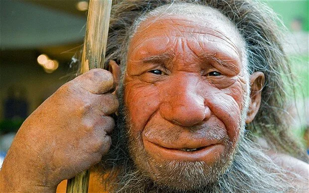 Neanderthal model