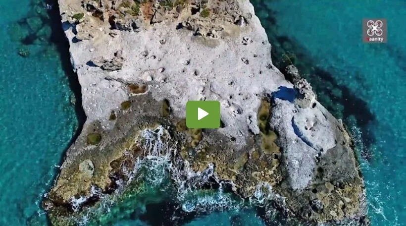 Drone footage captures 3.000.000-year-old fossil palm forest, located at the southern tip of the Peloponnese
