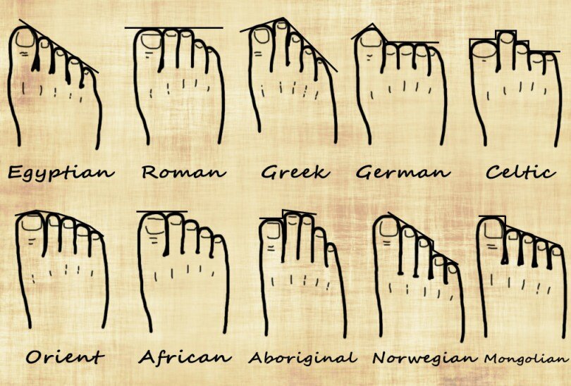 Ancestry Based On Feet