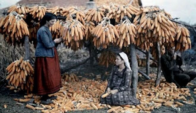  Two women drying corn in Pella  