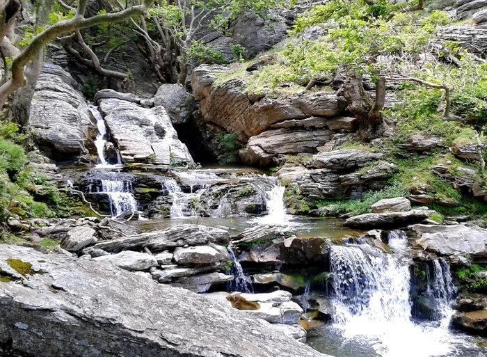 image_087e.jpg