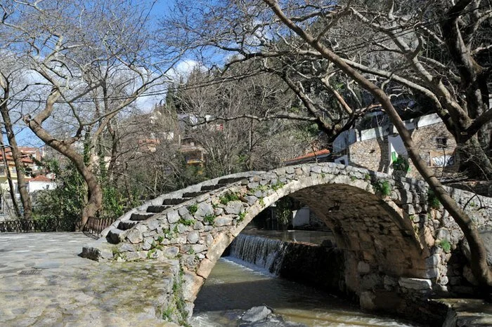 image_e217.jpg