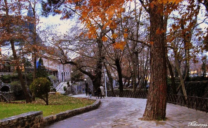 image_ffbd.jpg