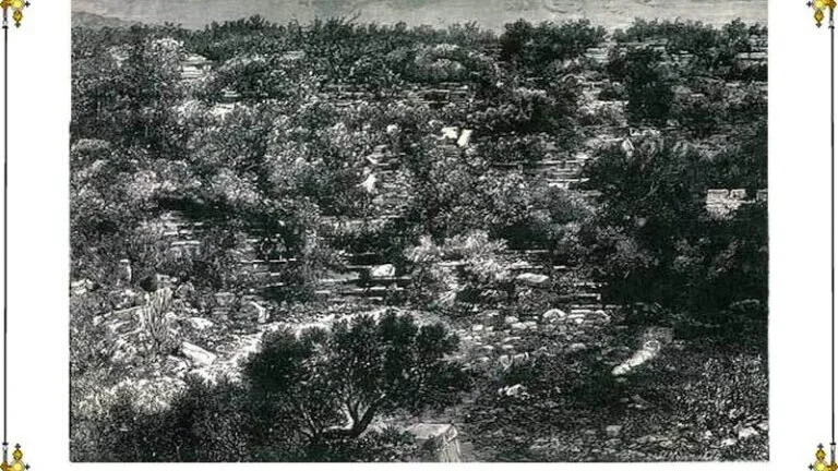 This is the ancient theatre of Epidaurus before its excavation