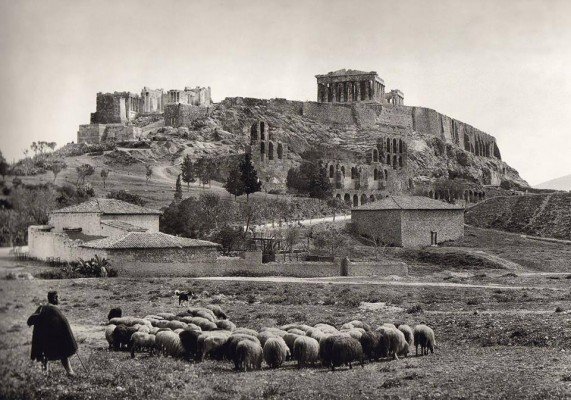 Shepherd with his flock on the Acropolis in 1903. Photographer: Fred Boissonnas (Kallimages Collection, Paris)