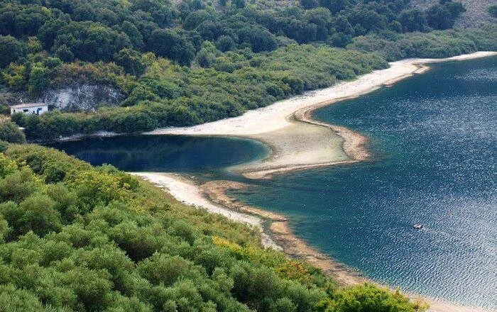 image_d922.jpg