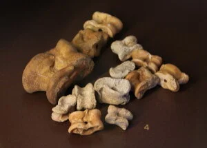 astragaloi-from-boeotia.jpg