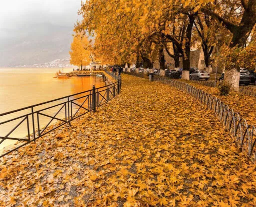 ioannina.jpg