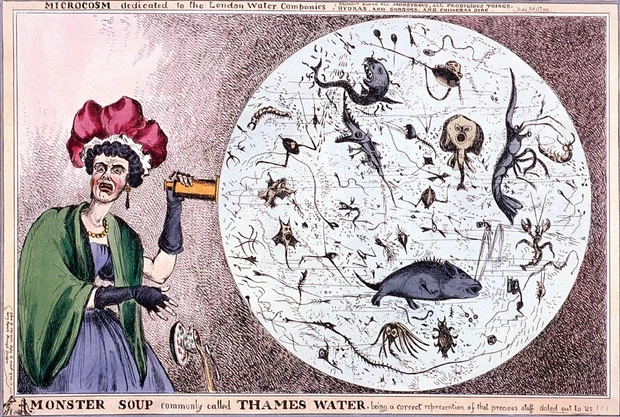 ‘Monster soup commonly called Thames water…’, 😂 1828 by Thomas McLean © Guildhall Library &amp; Art Gallery/Heritage Images/Getty Images