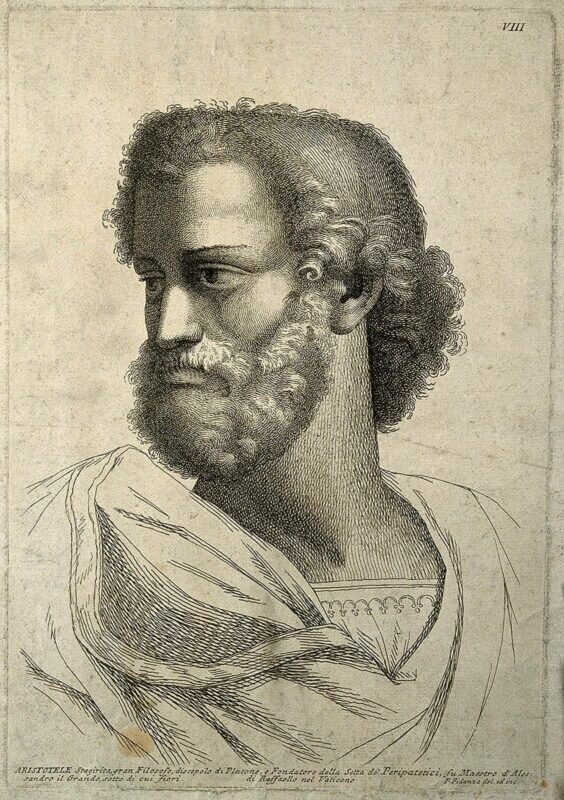 Χαρακτική του Αριστοτέλη από τον Ραφαήλ, μέσω της συλλογής Wellcome, Λονδίνο