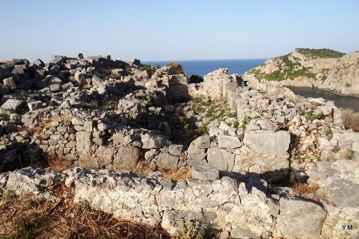 zarak-wall3.jpg