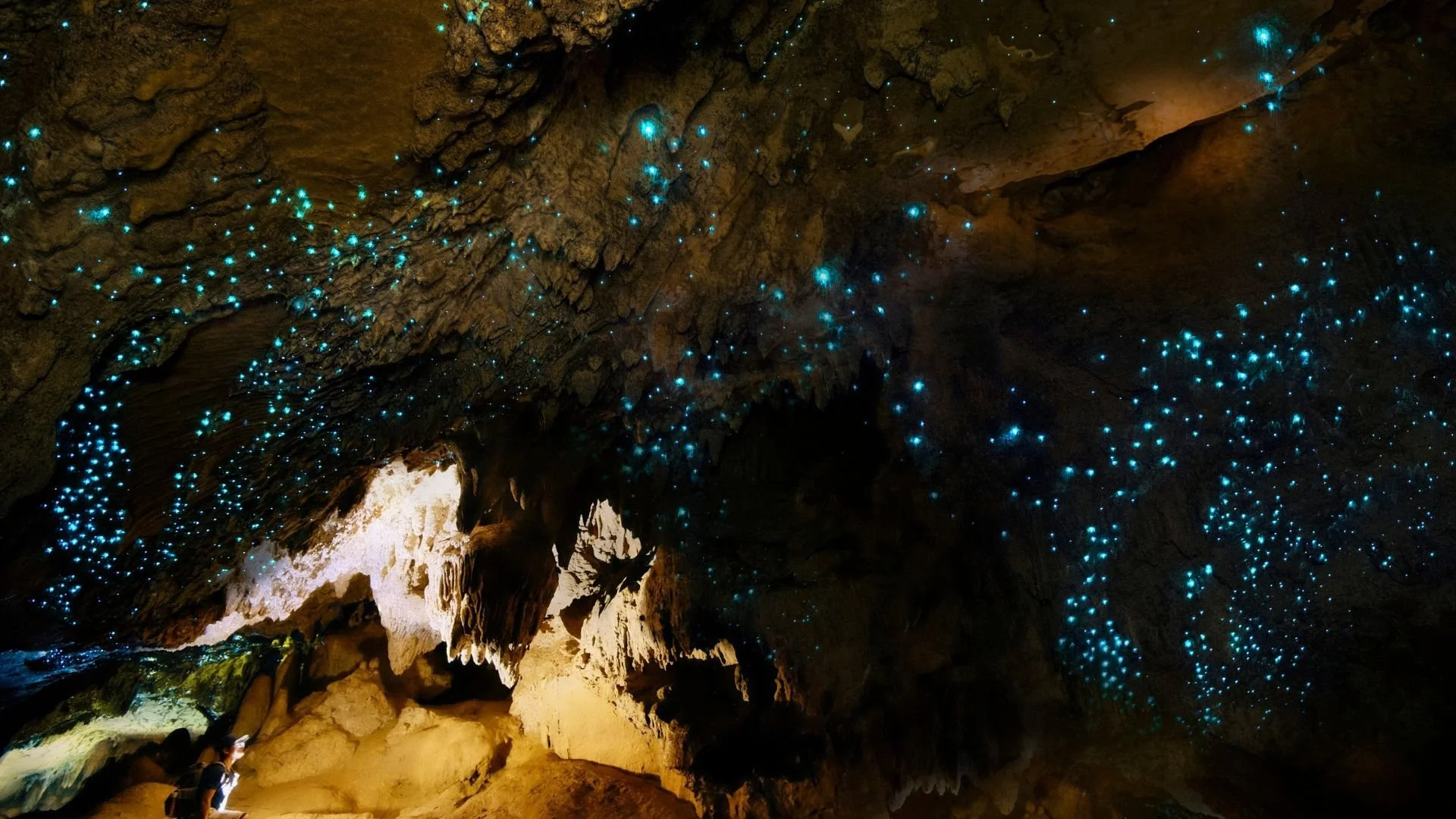Bioluminescent+caves+are+real+-+and+they+might+just+blow+your+mind+(1).jpg