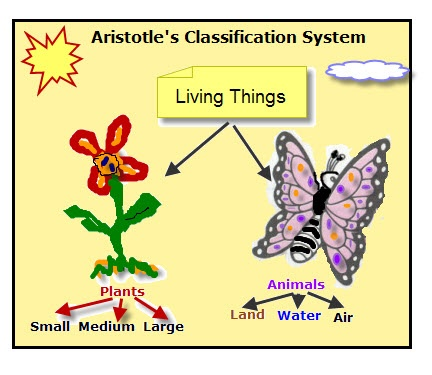 image_2026-06-13_220623036.png